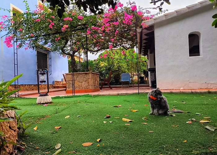 Estudio Rotas * Denia