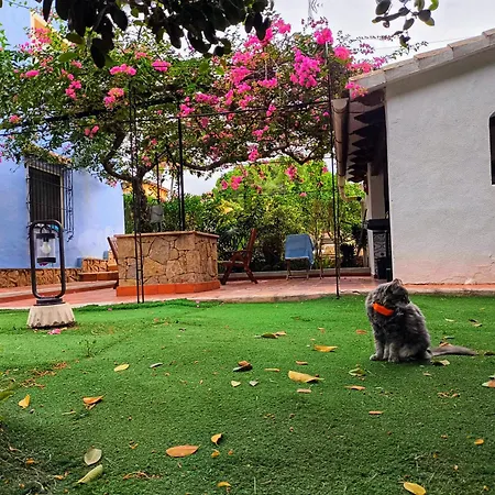 Estudio Rotas * Denia